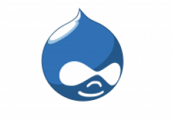 Drupal Druplicon Logo