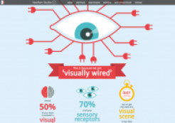 Infografik (neomam)