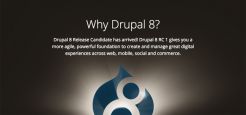 Keyvisual Drupal 8